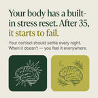 Rhodiola Rosea - Natural Adaptogen [400mg]