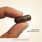 Sanora™ Black Ginger Complex