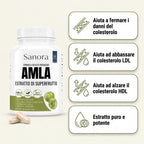 Capsule di Amla Superfrutto