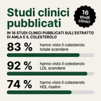 Capsule di Amla Superfrutto