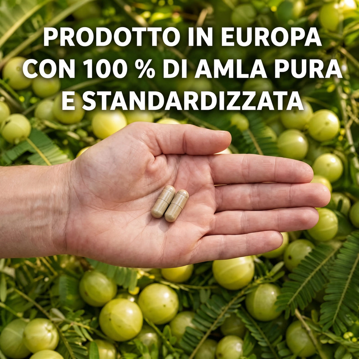 Capsule di Amla Superfrutto