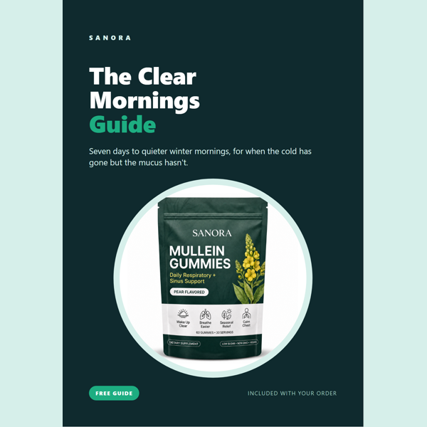 The Clear Mornings Guide (E-book)
