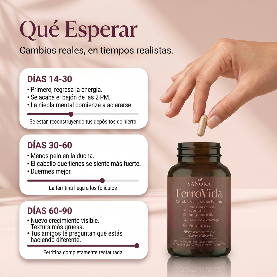 FerroVida™ Soporte de Ferritina