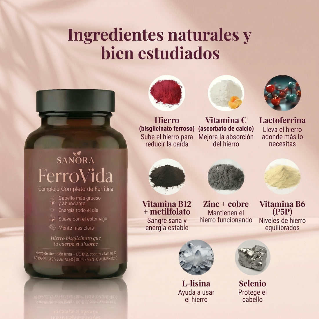 FerroVida™ Soporte de Ferritina