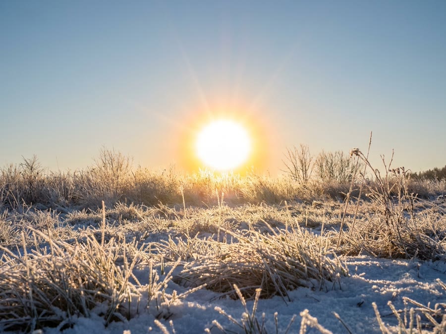 Vitamin D3